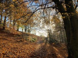 Lovely day In Innerleithen